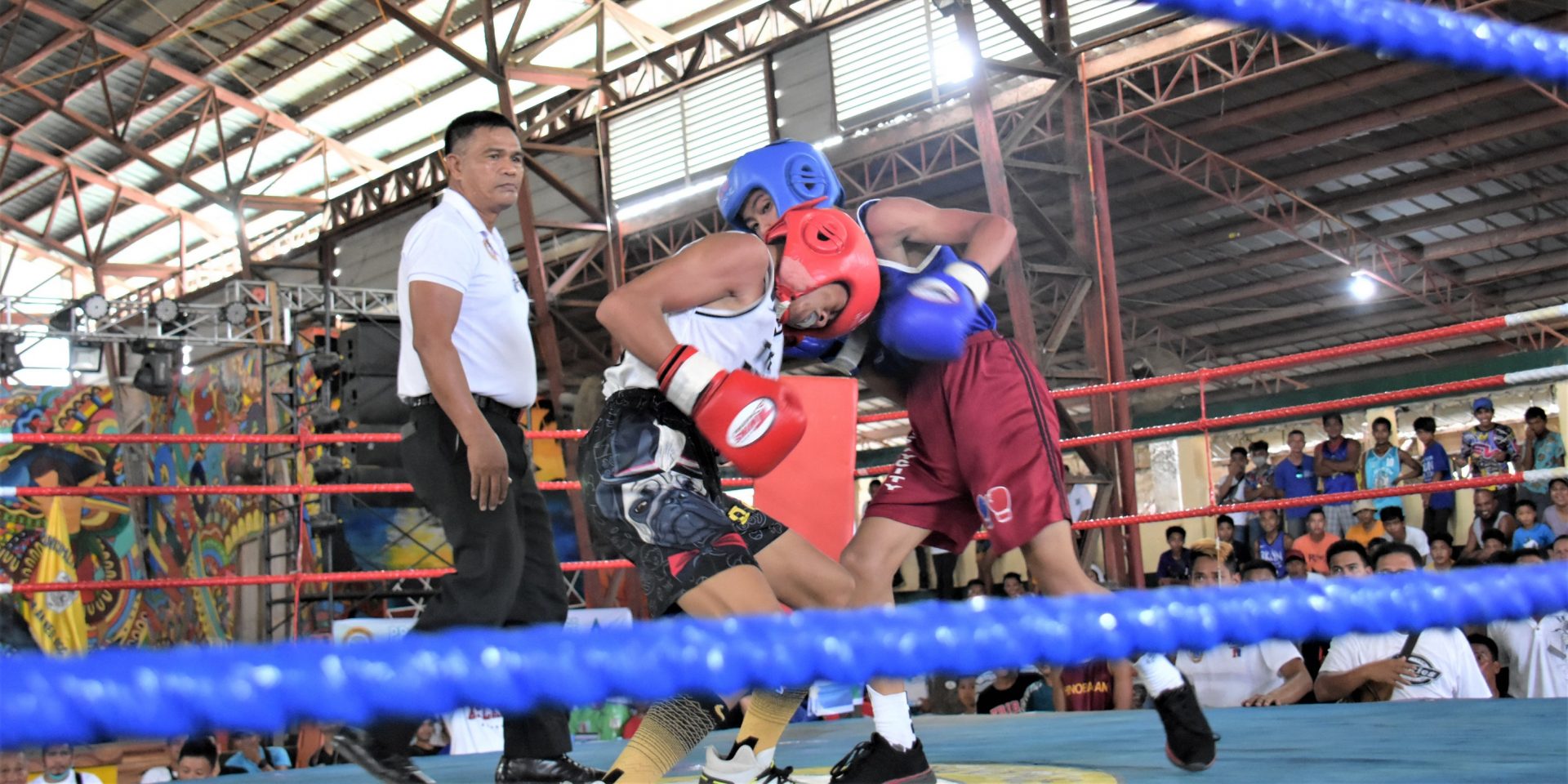 Sixth District Boxing Festival | Negros Occidental Provincial Government